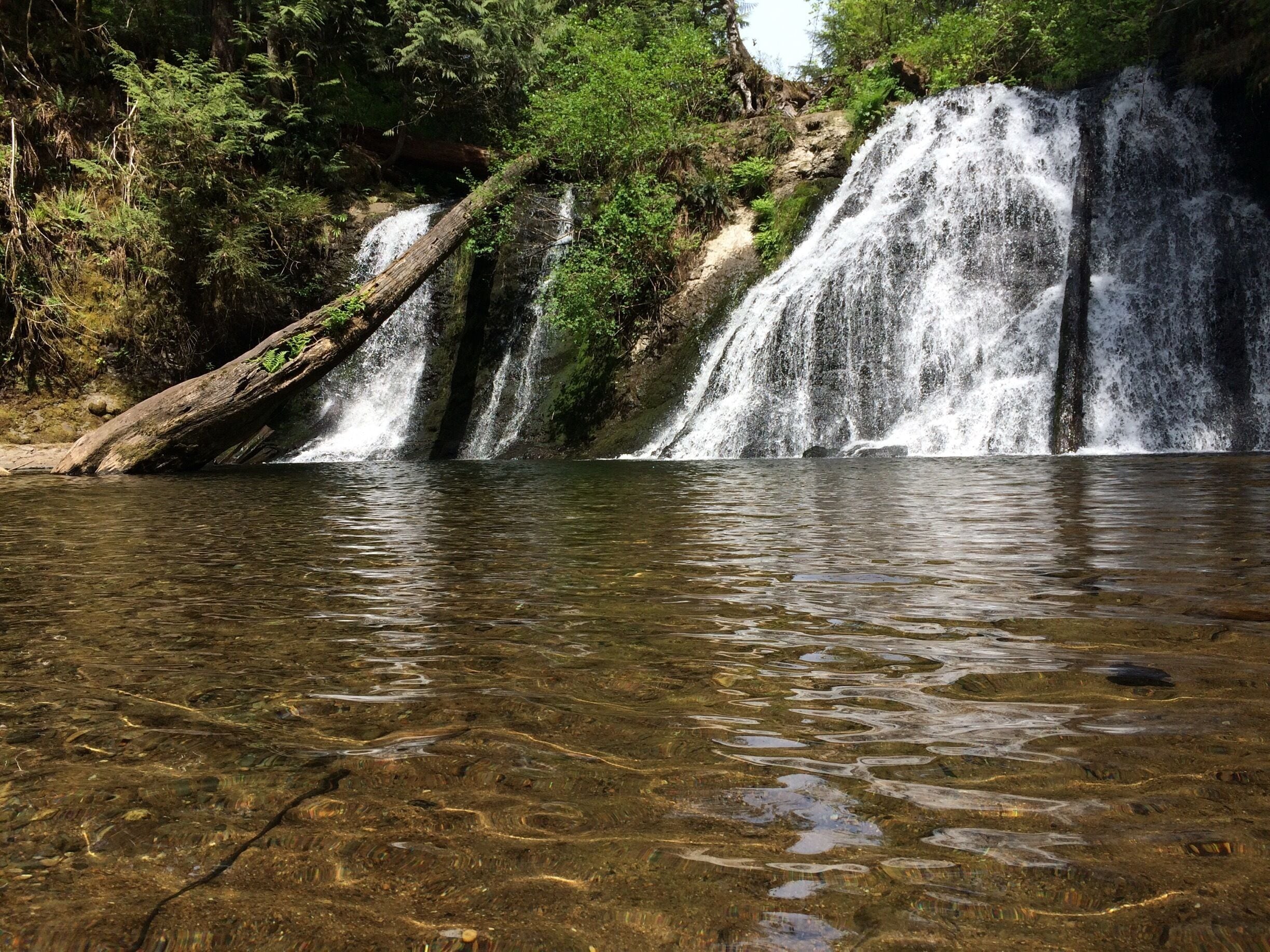 Short easy hike out to Cherry Creek Falls yesterday.