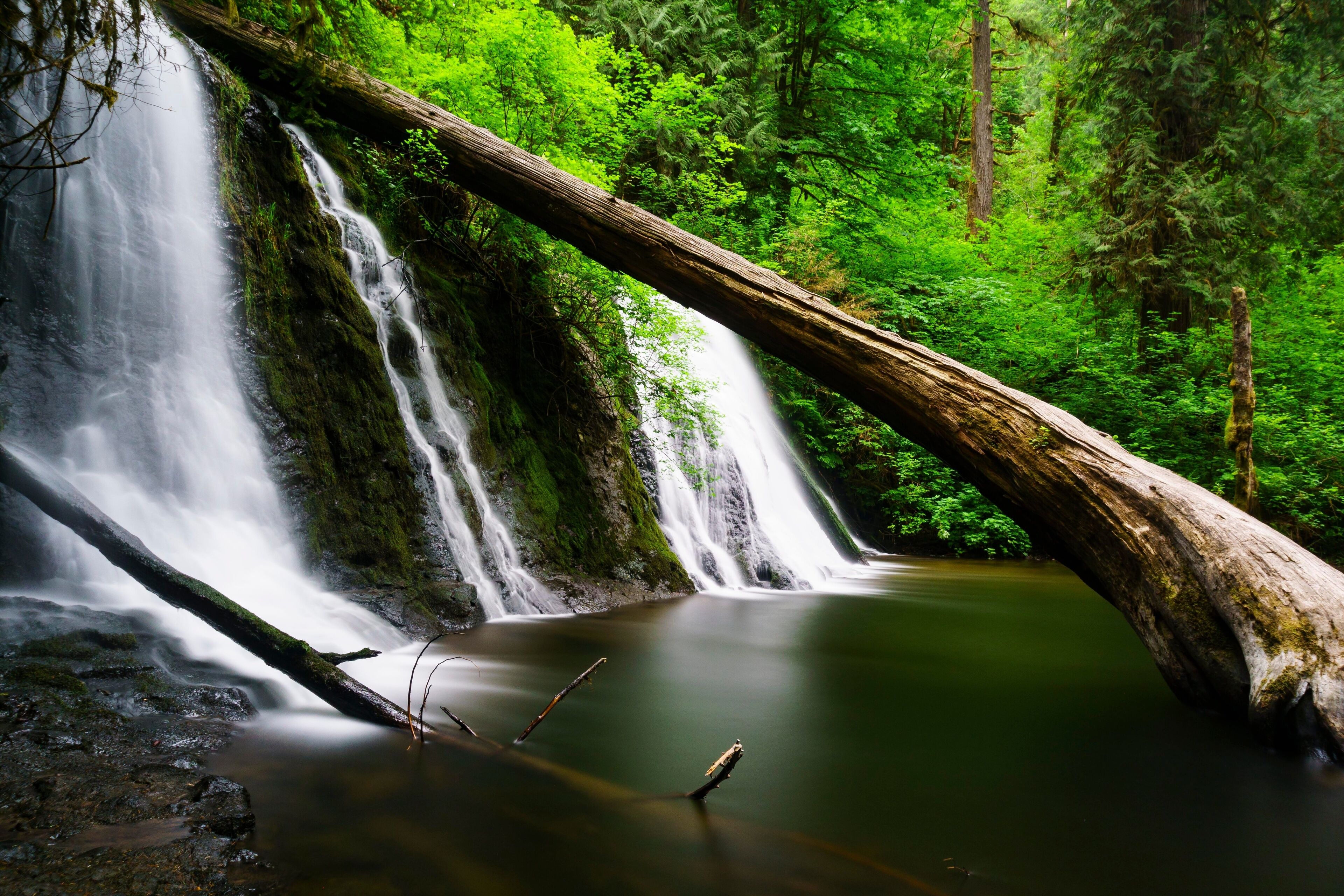 A waterfall in a lush forest with a fallen log in the foreground.