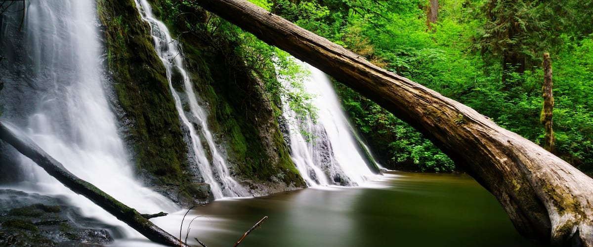 A waterfall in a lush forest with a fallen log in the foreground.