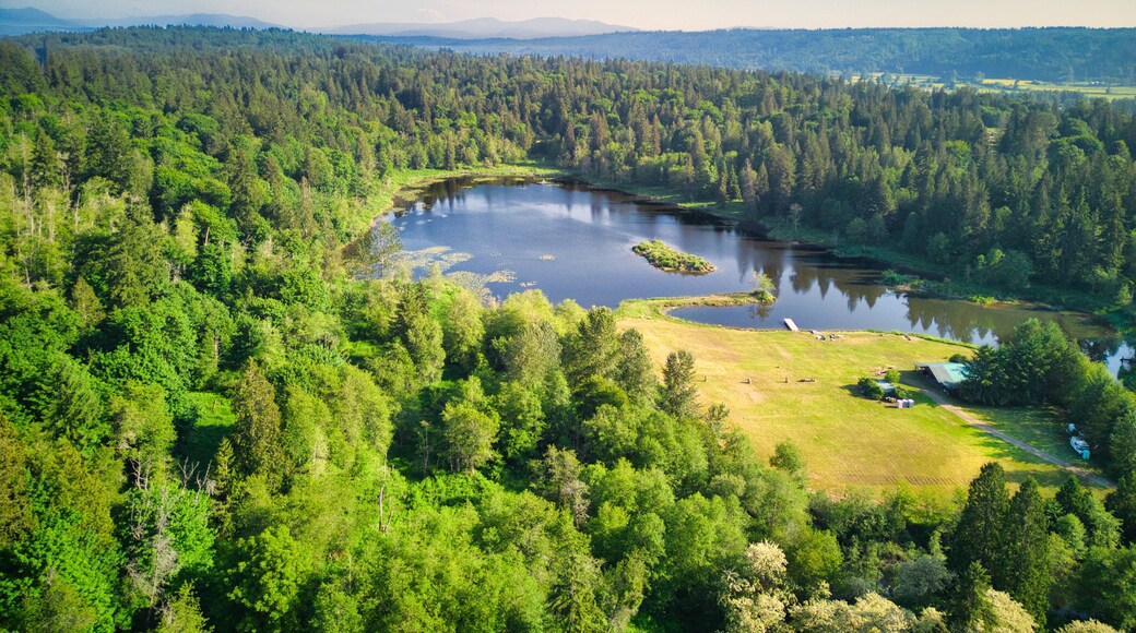 Loutsis Dam Duvall Washington