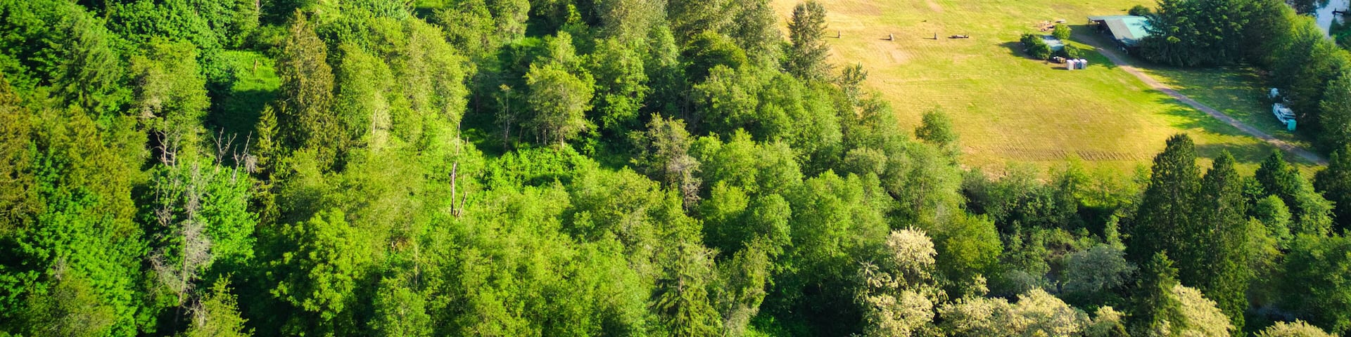 Loutsis Dam Duvall Washington