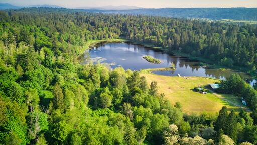 ดูวอลล์