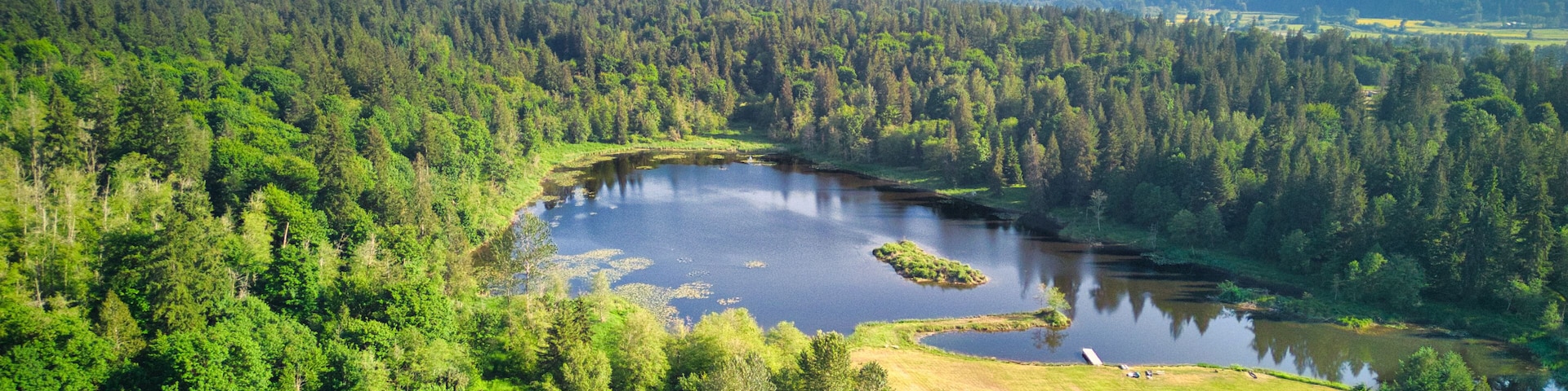 Loutsis Dam Duvall Washington
