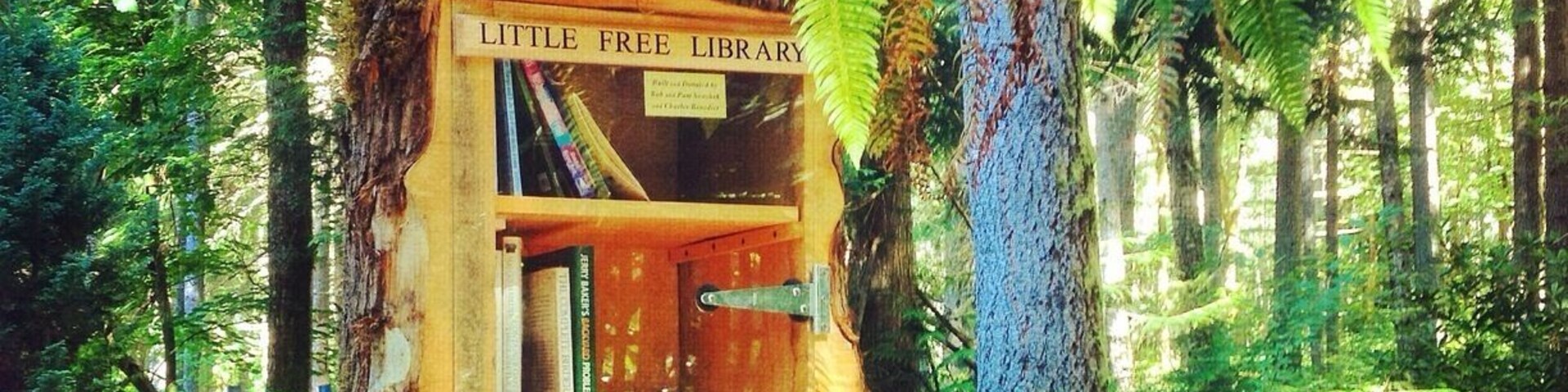It's a library in a tree! Came across this very clever "Little Free Library" today while hiking at the Lake Wilderness Arboretum in Maple Valley. The nearby bench is a wonderful place to sit, soak up the serenity of the gardens and browse books left by others. • http://lakewildernessarboretum.org • #MapleValley #Washington #arboretum #gardens #library #hike #localgem