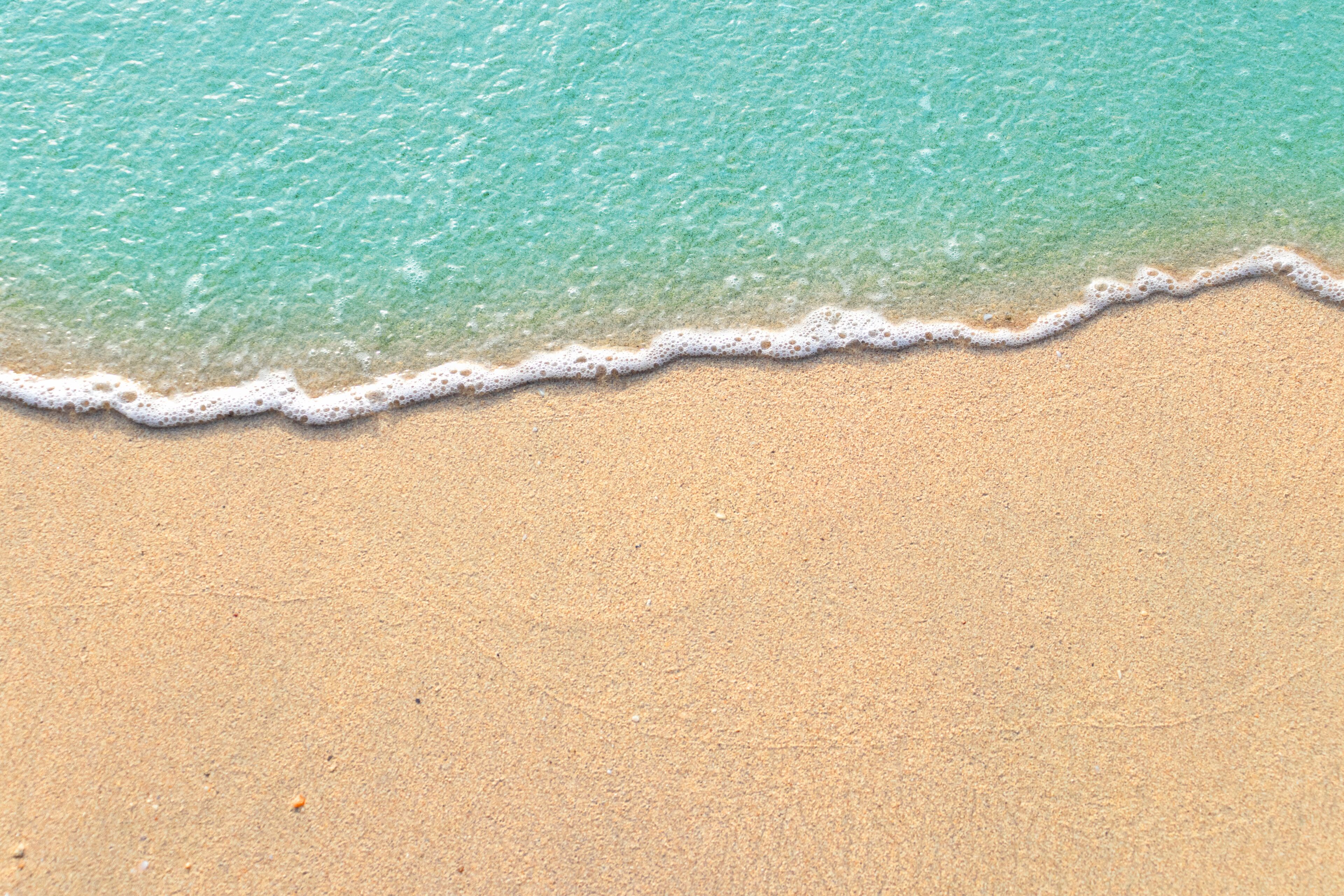 Shoreline