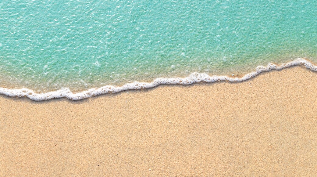 Shoreline