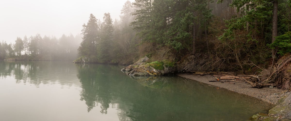 A calm lake surrounded by dense forest and mist.