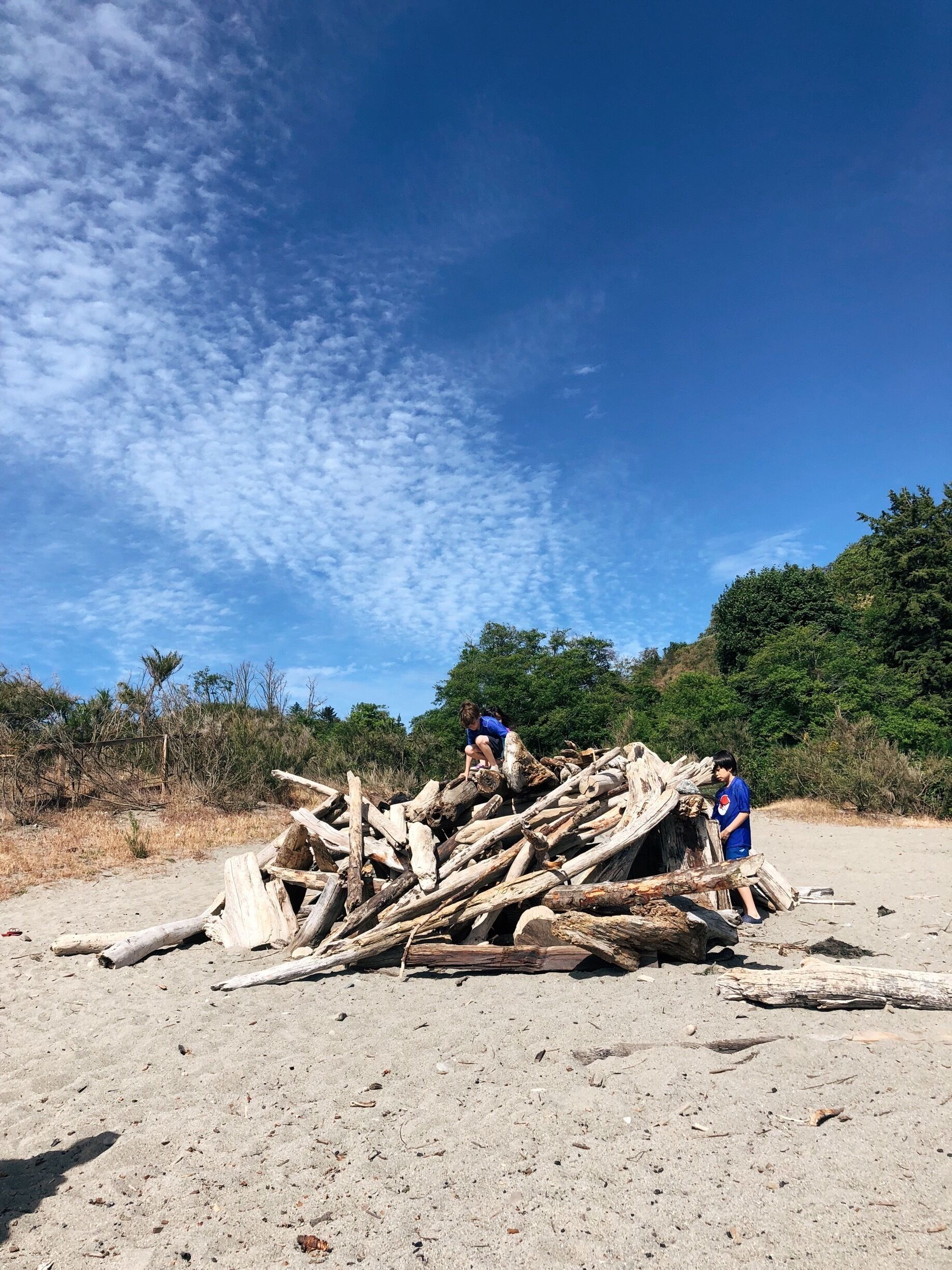 Natural fort. I love nature’s playground. Lots of sea life at low tide for kids to learn. #LifeAtExpedia #richmondbeach #shorelinewa