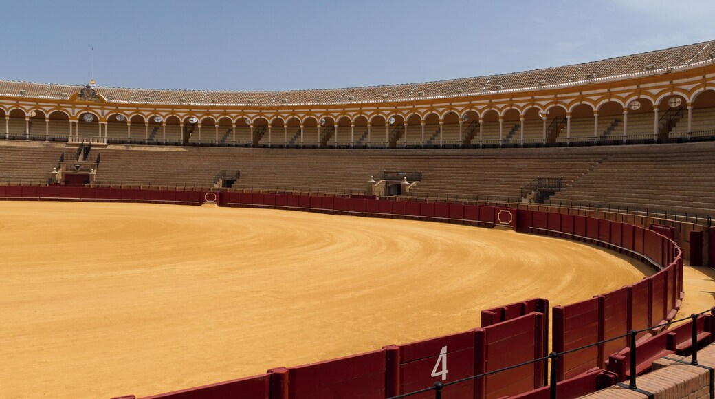 View of the bullring of the Real Maestranza of Seville, Spain.