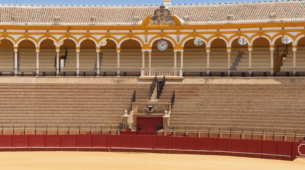 Detail of the bleachers and grandstands of the bullring of the Real Maestranza de Caballeria, Seville, Spain.