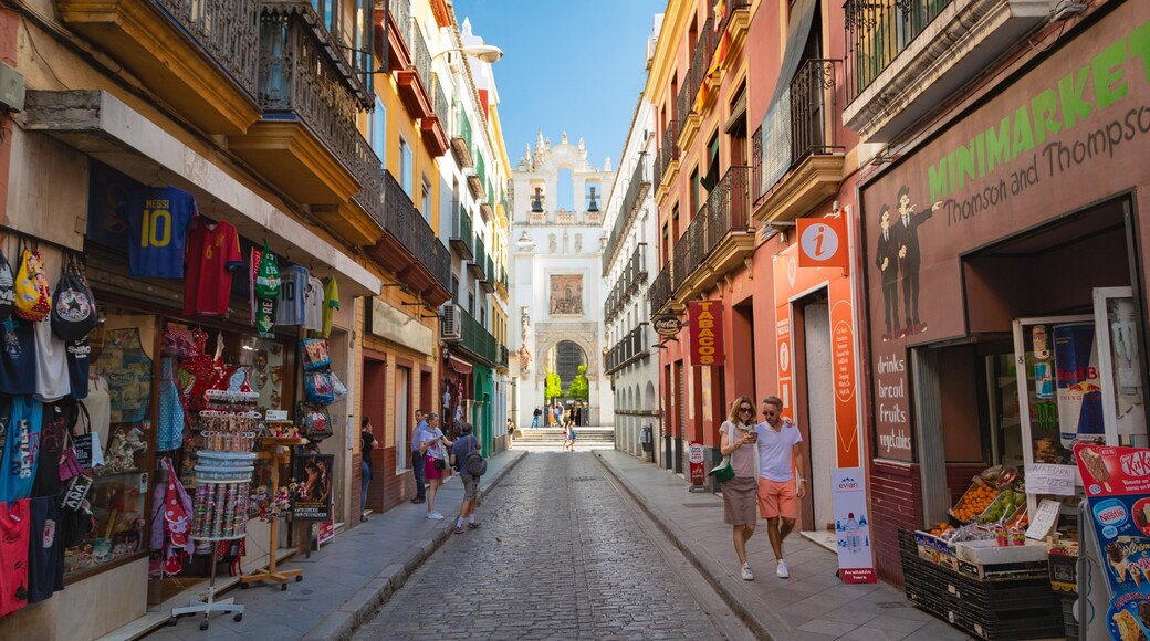 Santa Cruz showing street scenes as well as a couple