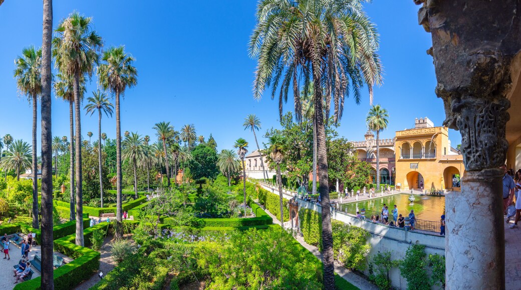 Torreblanca de los Caños