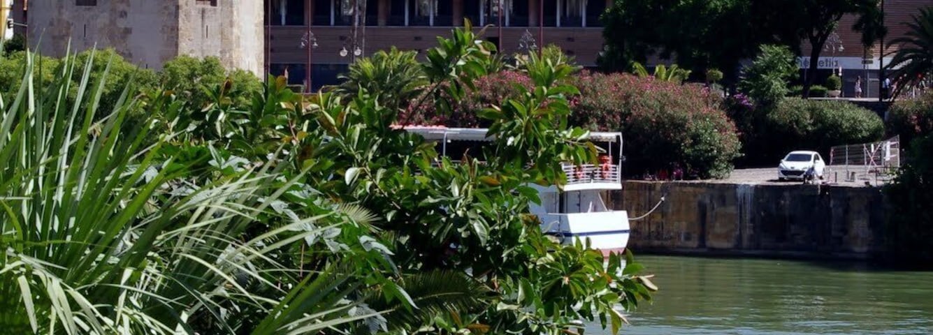 Torre de Oro and Giralda