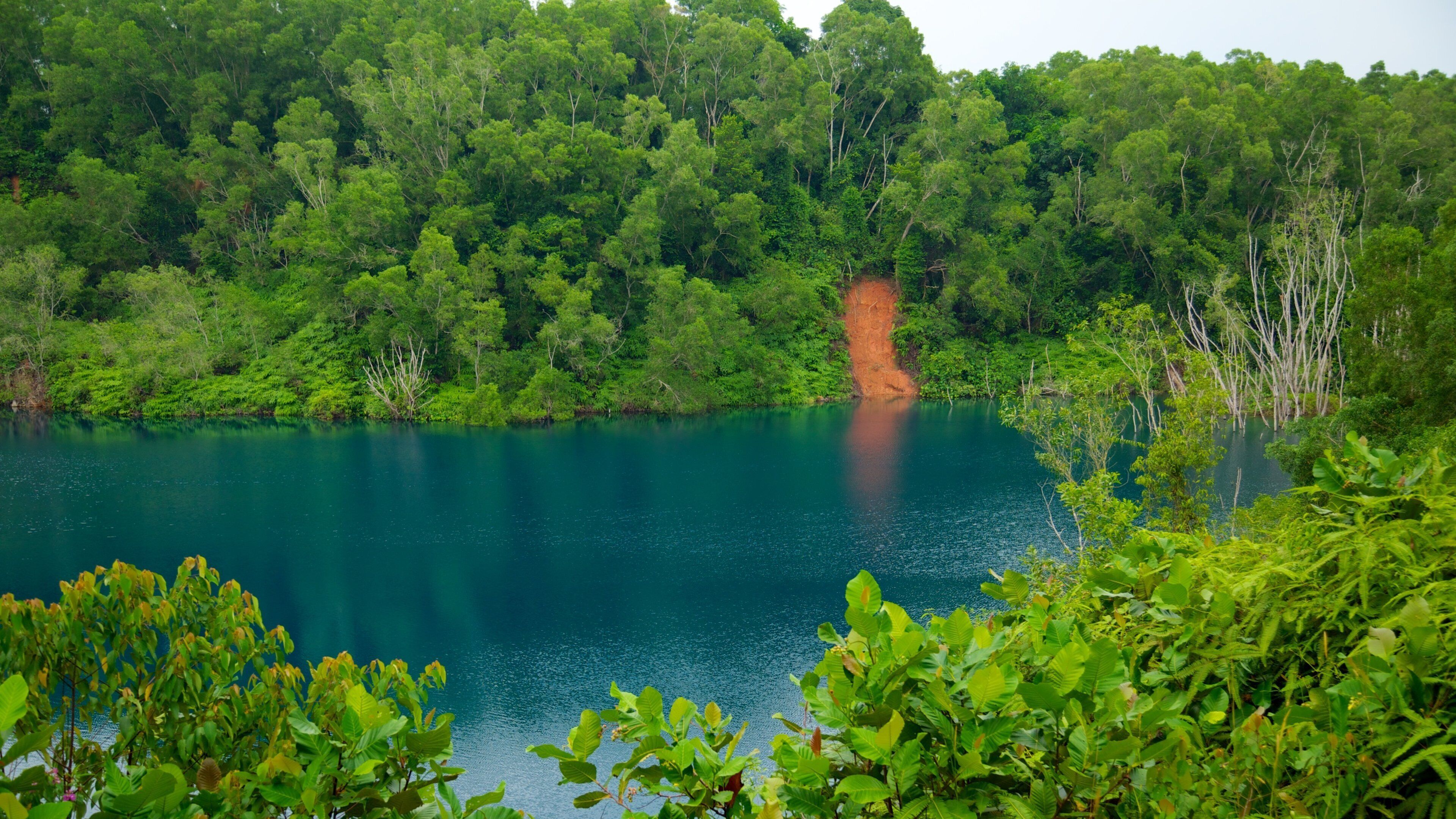Pulau Ubin which includes forests, a lake or waterhole and landscape views