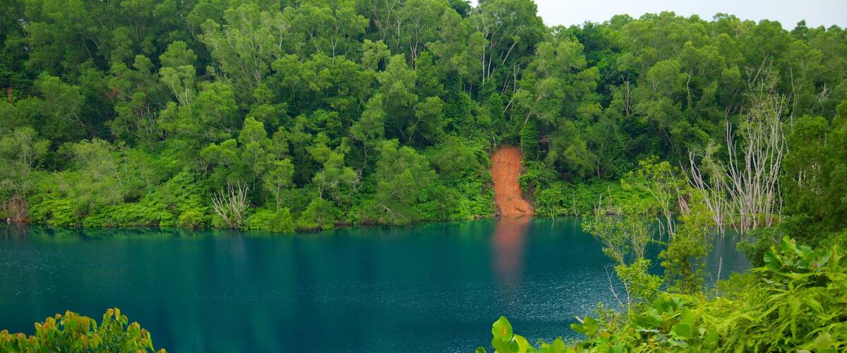 Pulau Ubin which includes forests, a lake or waterhole and landscape views