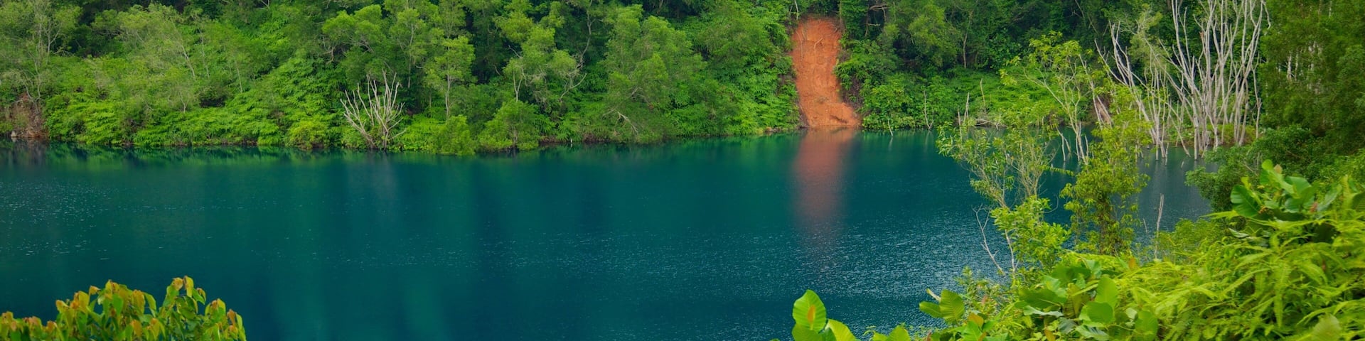 Pulau Ubin which includes forests, a lake or waterhole and landscape views