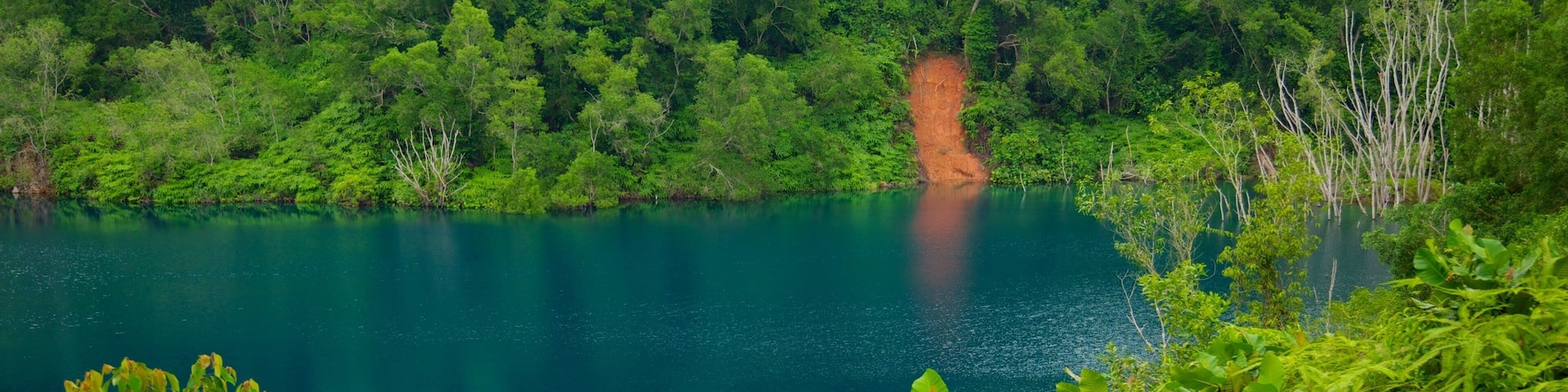 Pulau Ubin which includes forests, a lake or waterhole and landscape views