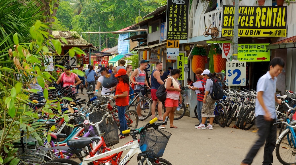 Pulau Ubin featuring shopping, a small town or village and signage