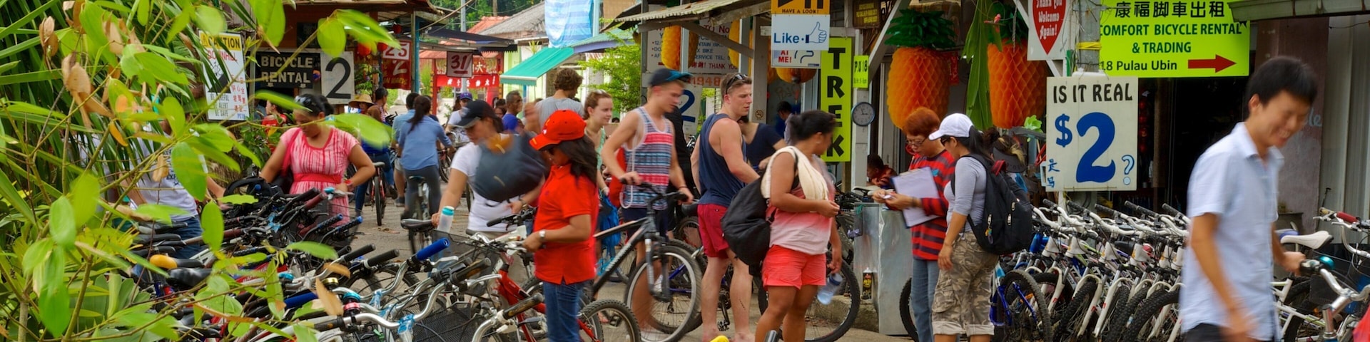 Pulau Ubin mostrando compras, cenas de rua e sinalização
