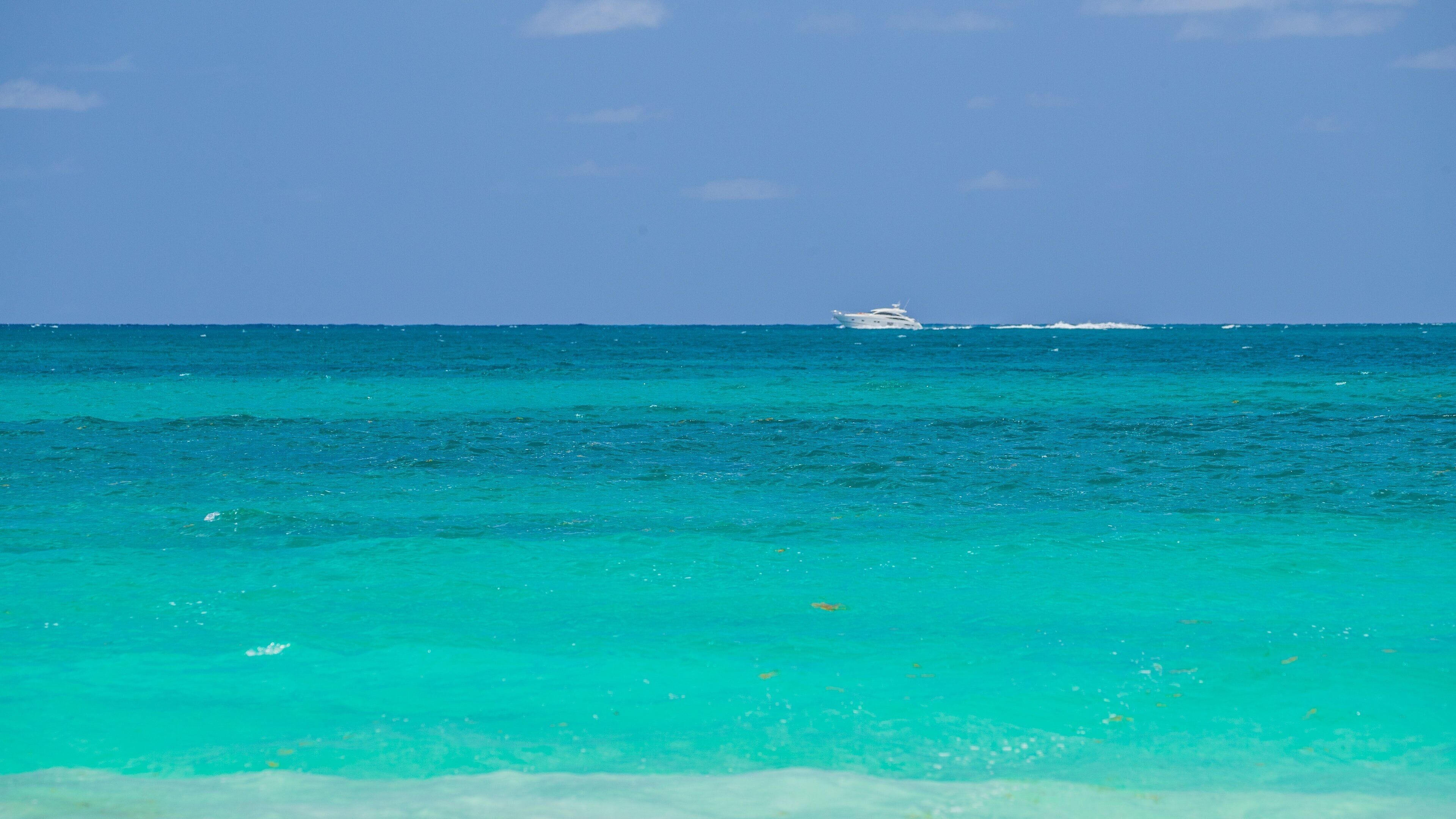 Orient Bay Beach showing boating and general coastal views
