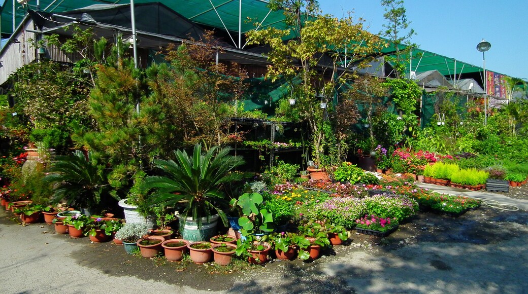 Xinzhuang Zhonggang Flower Market 新莊中港花市