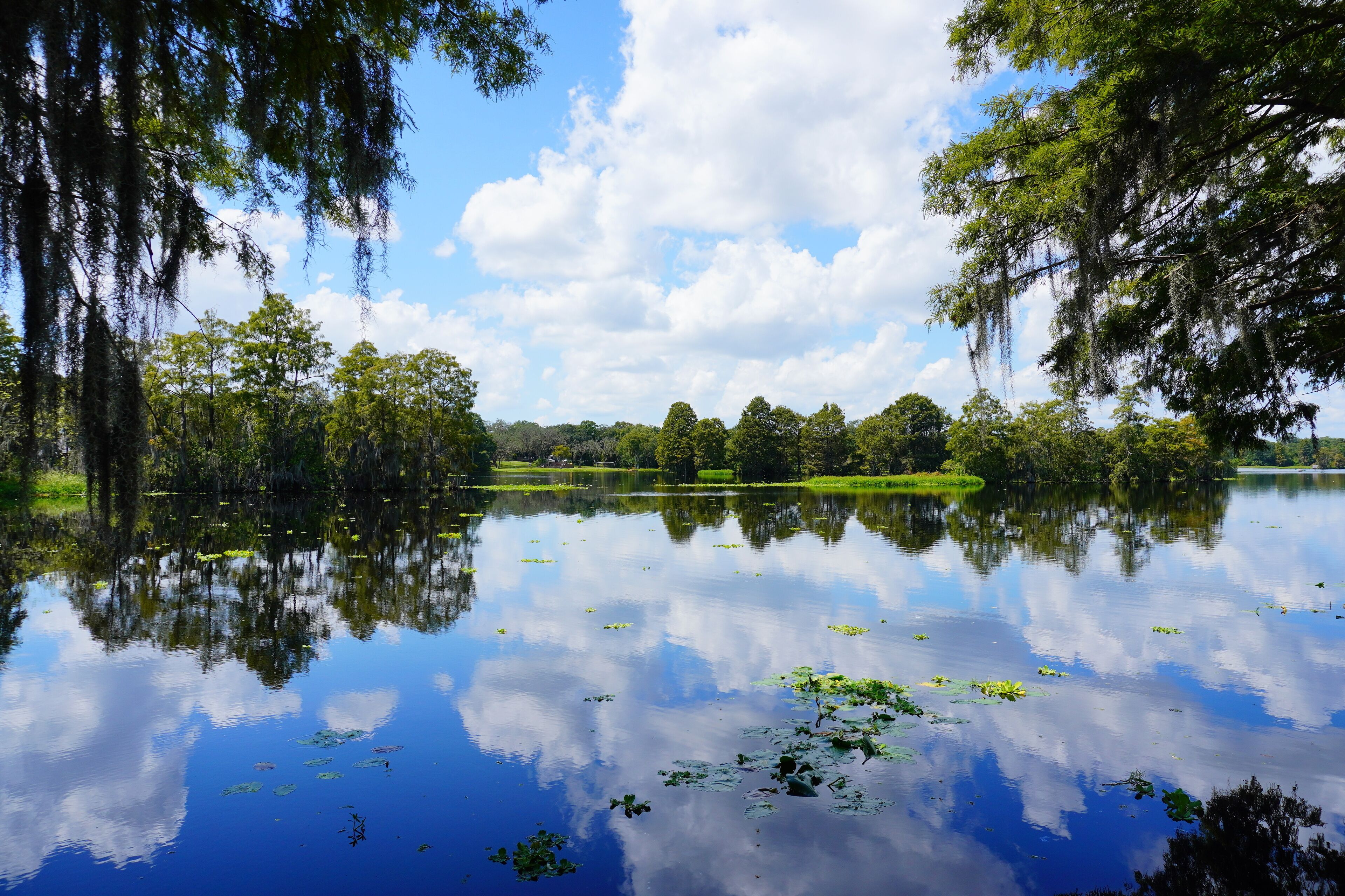 A calm lake surrounded by trees and greenery.