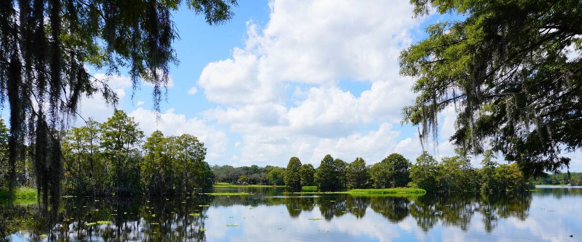 A calm lake surrounded by trees and greenery.