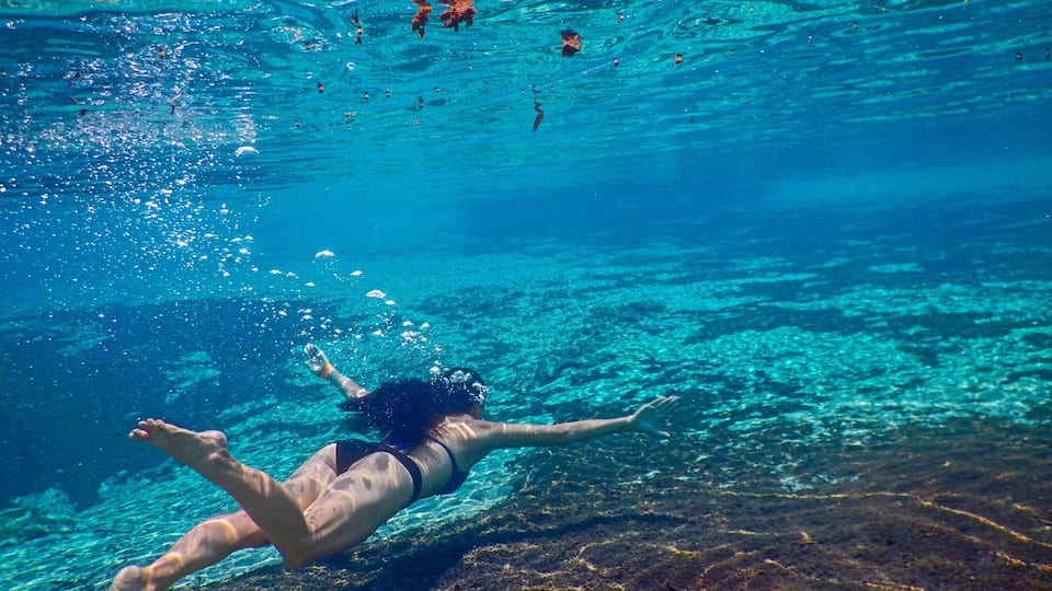 The springs are so clear and such a nice refresher on a hot day, it was definitely a bonus while we RV camped at the county park #florida #swimming #underwater