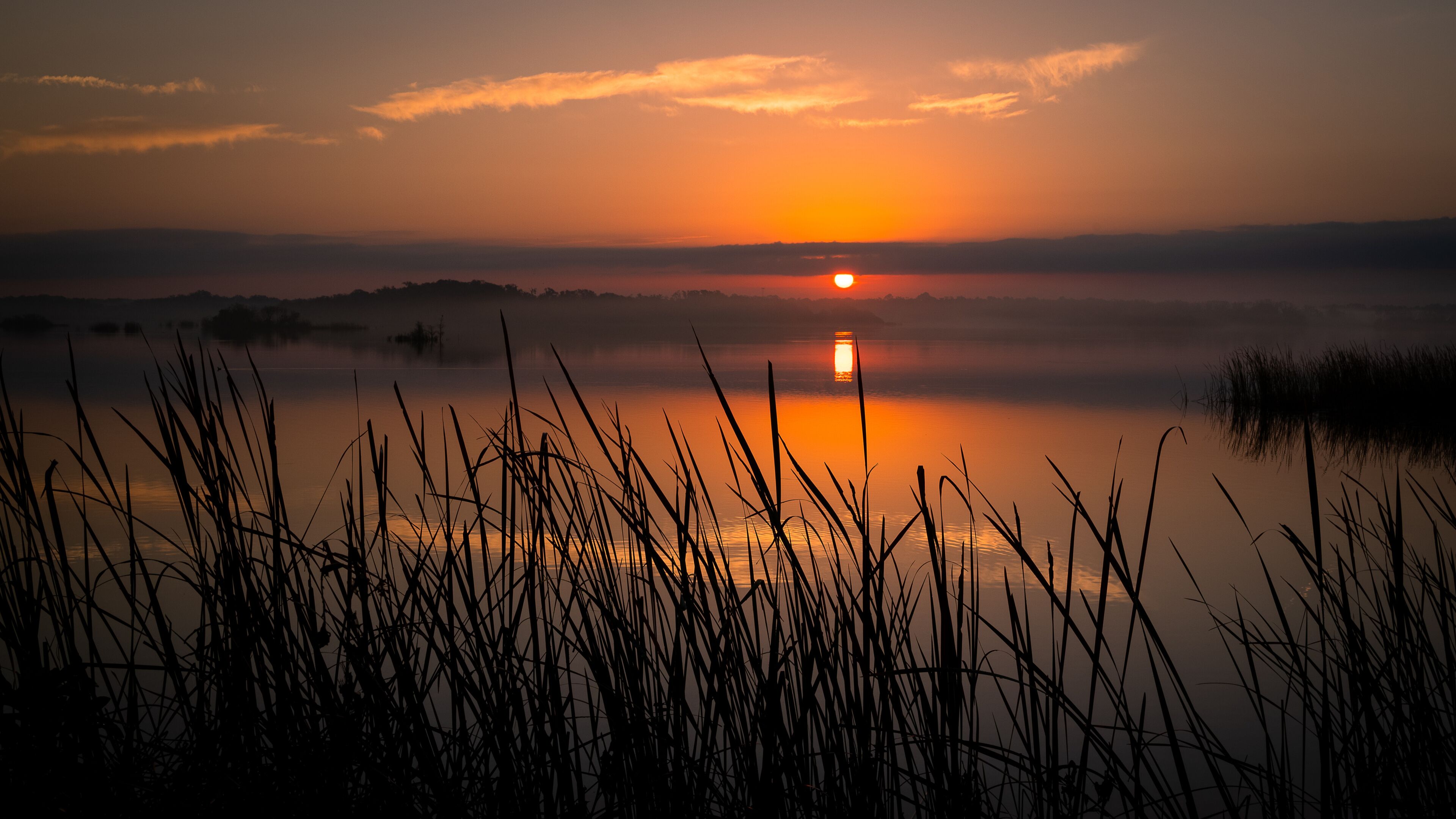 A sunrise over a calm lake with silhouetted reeds in the foreground.