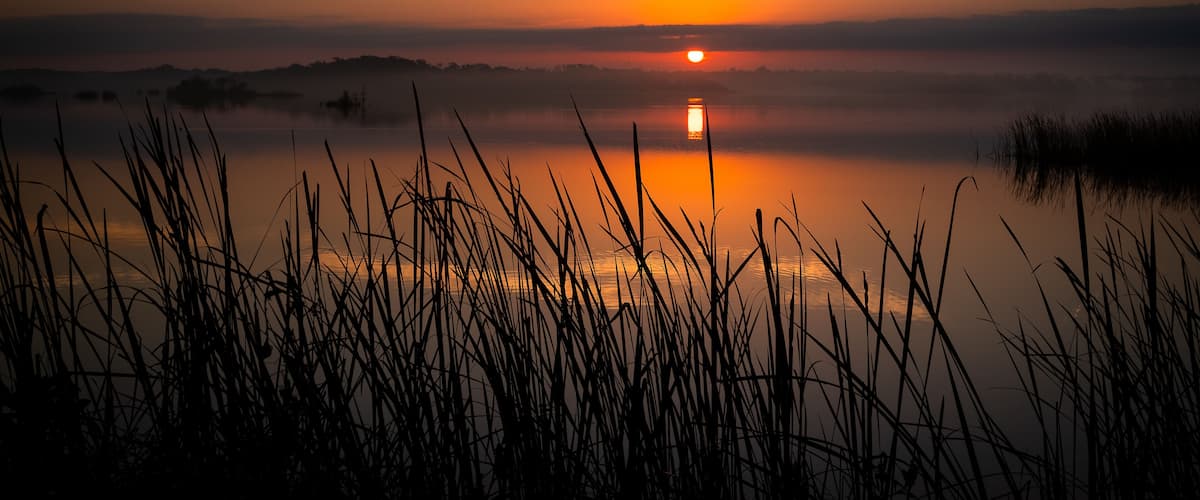 A sunrise over a calm lake with silhouetted reeds in the foreground.
