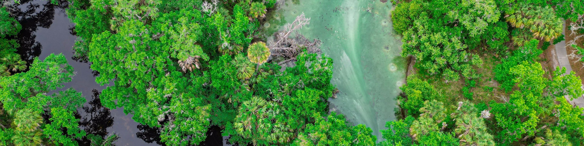 Lithia Spring Run, Hillsborough County, FL.