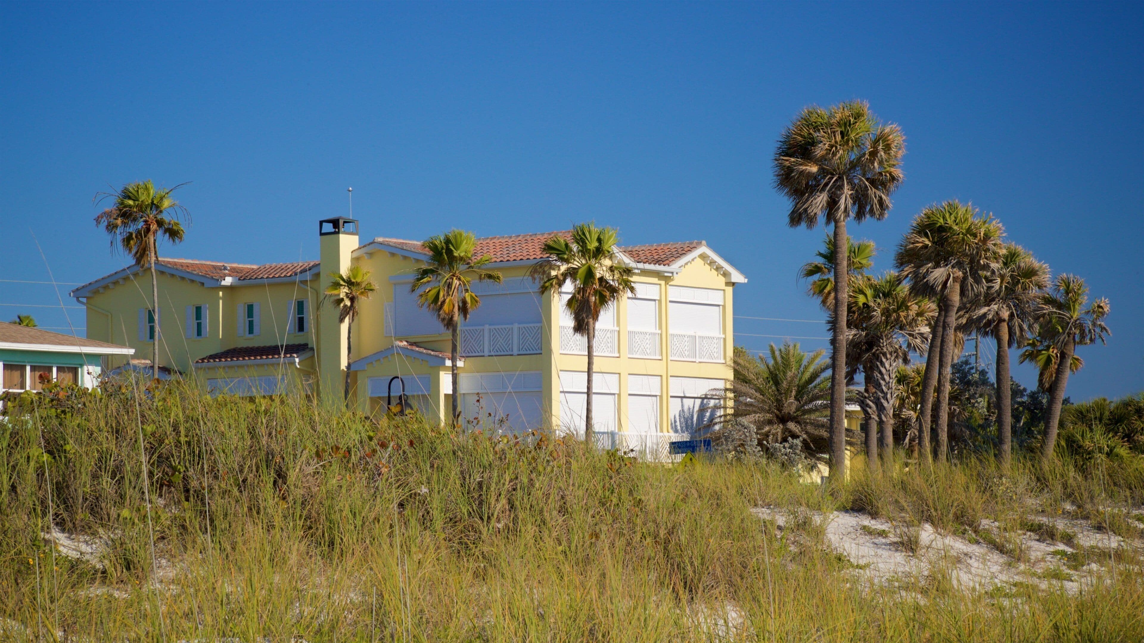 A yellow house with a red roof, surrounded by tall palm trees and dense vegetation.