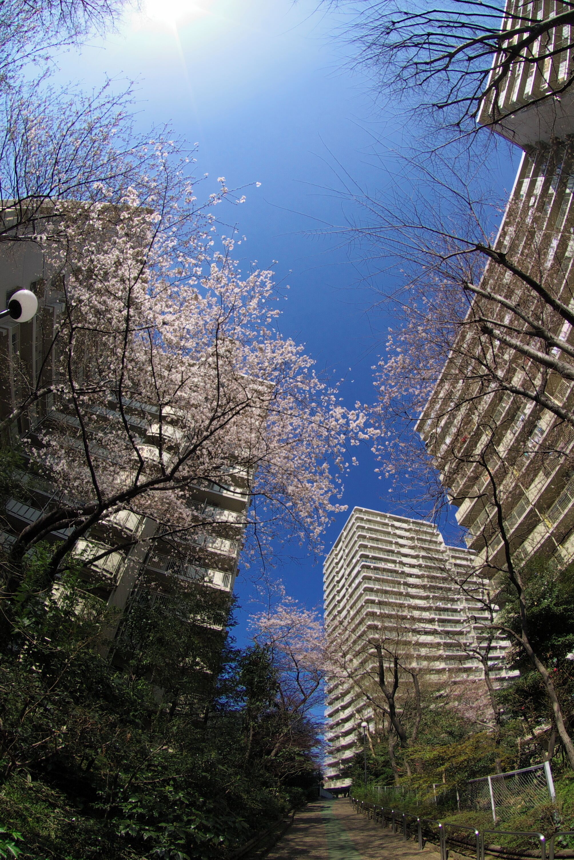 Sun City housing complex in Itabashi Ward, Tokyo, Japan