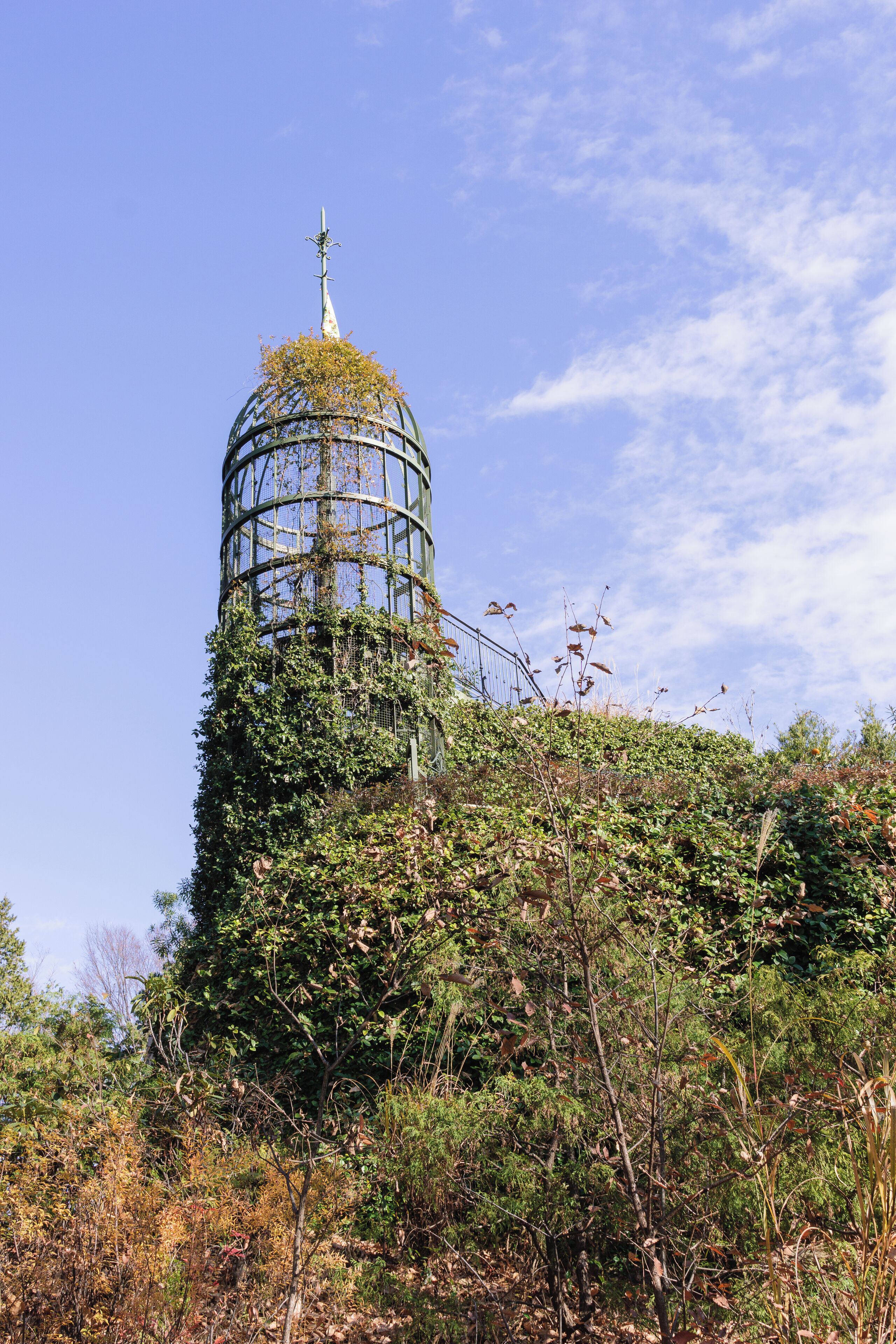 A tower covered in ivy and surrounded by dense foliage.