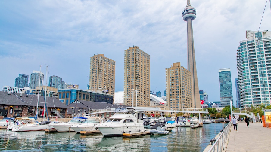 Harbourfront which includes a city and a bay or harbor