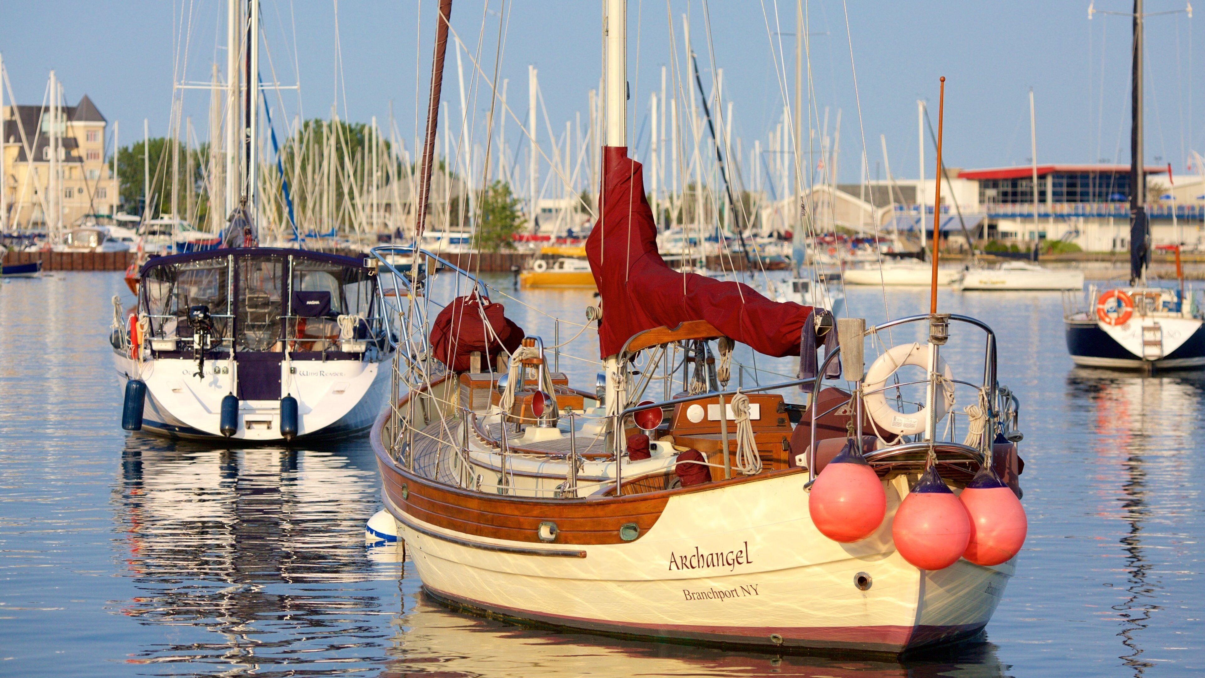 Harbourfront which includes sailing, boating and a river or creek
