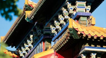 Explore the vibrant architecture of Chinatown in Vancouver, British Columbia during a clear sunny day