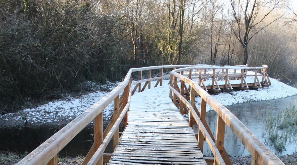 Parco Nuove Gemme, Spinea