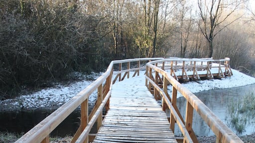 Parco Nuove Gemme, Spinea