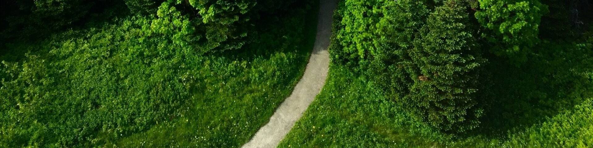Looking north from the tower on Mount Greylock.
IG: @chrisaddams