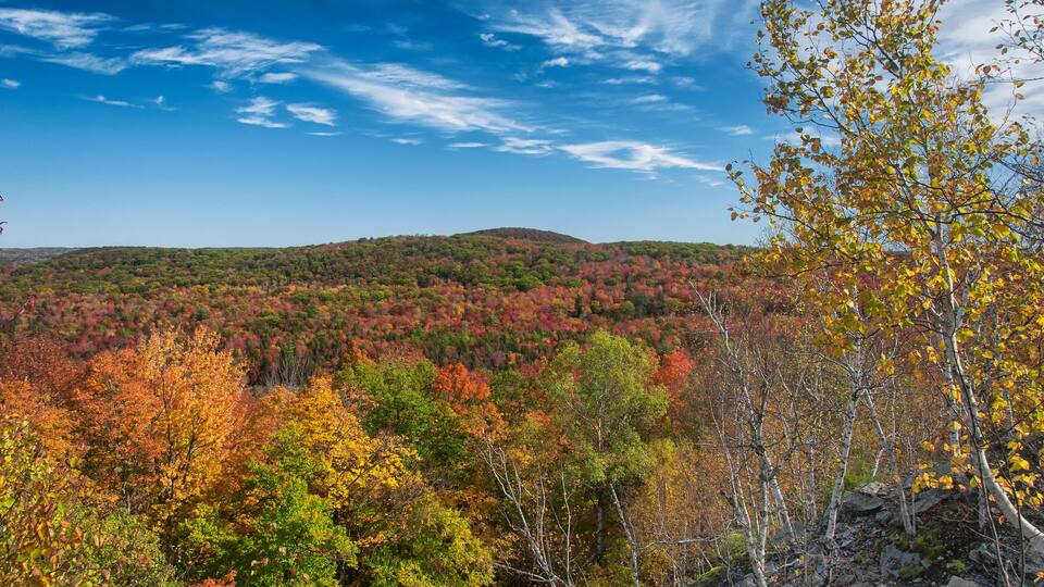 A forested mountain range with autumn foliage.