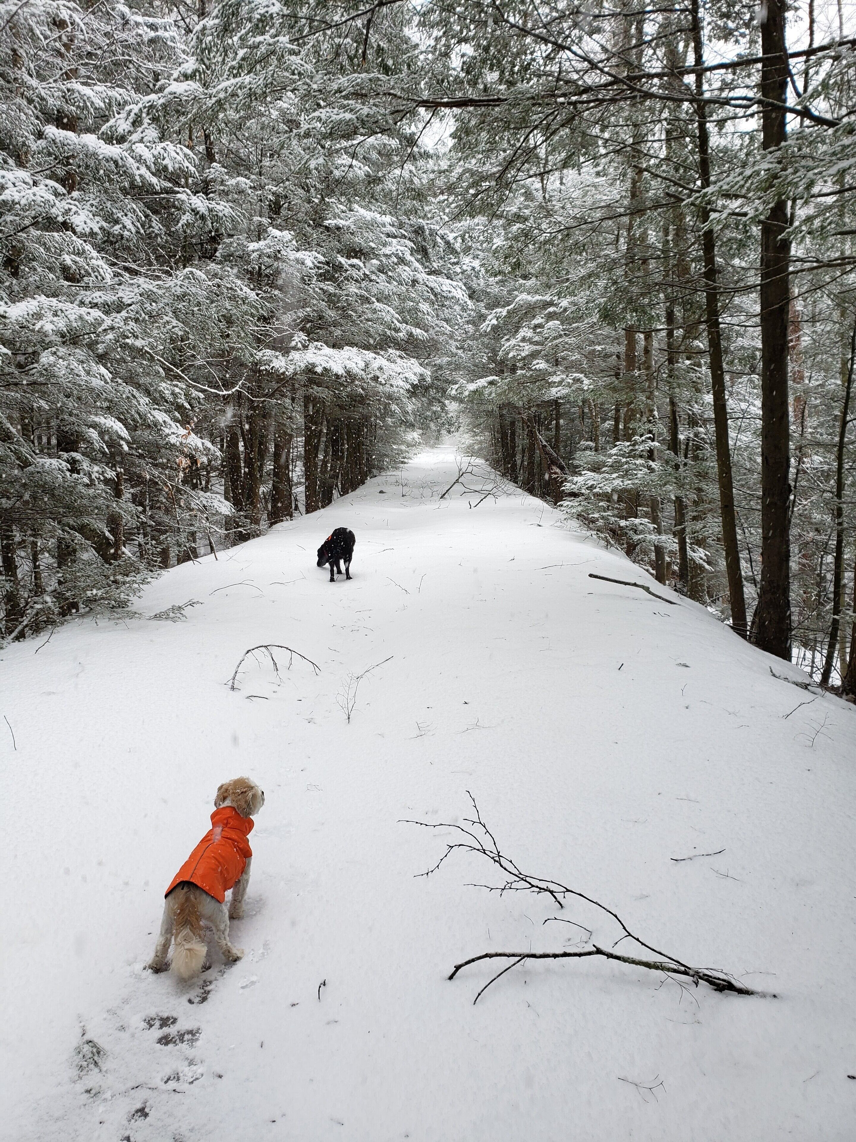 Old quarry switchbacks 