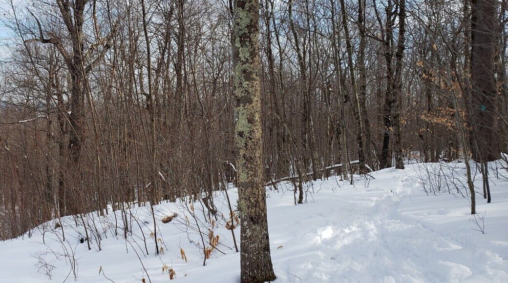 Vista trail view of Round Top Hill