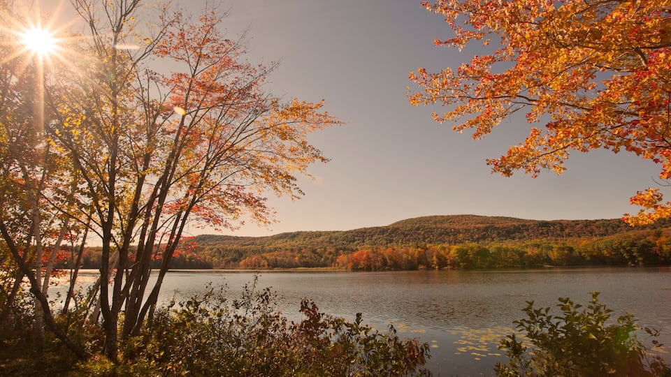 A lake surrounded by autumn-colored trees with a clear sky.