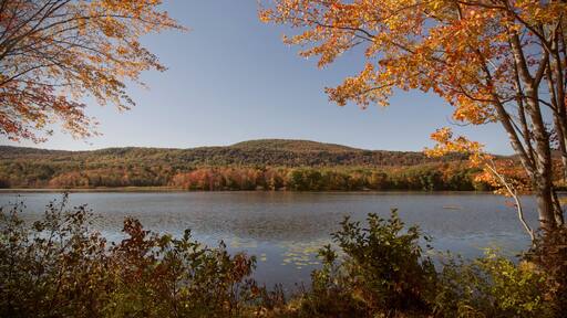An autumn view of Cheshire Lake in the Berkshire Mountains of Western Massachusetts.