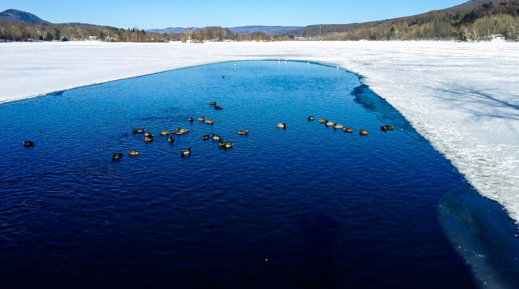 Cheshire Lake during a sunny winter day.