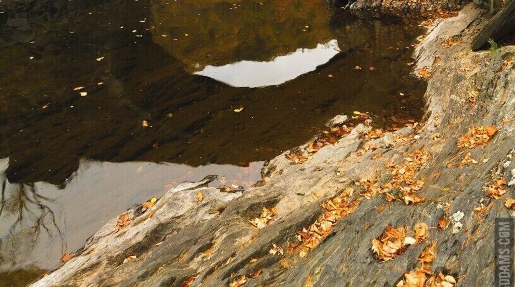 This abandoned arch looms sixty-five feet over a beautiful oasis fed by small cascades. It's amazing sight to discover in autumn!