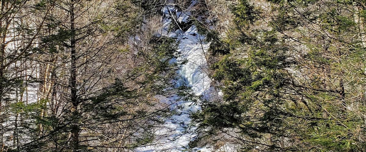 A snow-covered forest with a narrow stream running through it.
