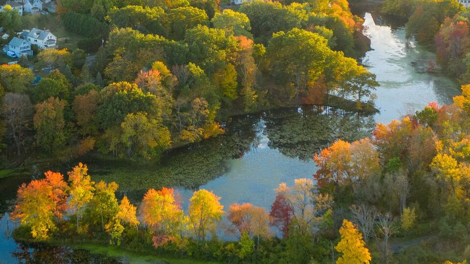 A river winding through a densely wooded area with autumn foliage, surrounded by residential buildings and a church.