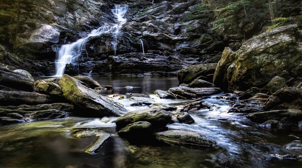 Had to wait on the light to get just right...totality worth it!!!
#InStone